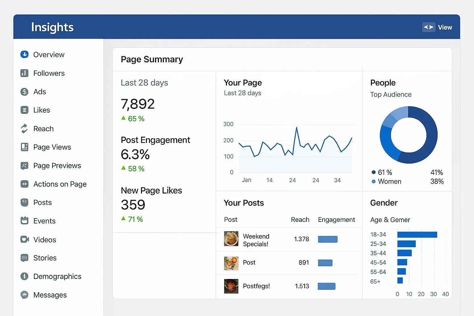 Corporate Facebook analytics dashboard displaying engagement metrics, audience insights, post performance data, and conversion tracking for local business social media optimization