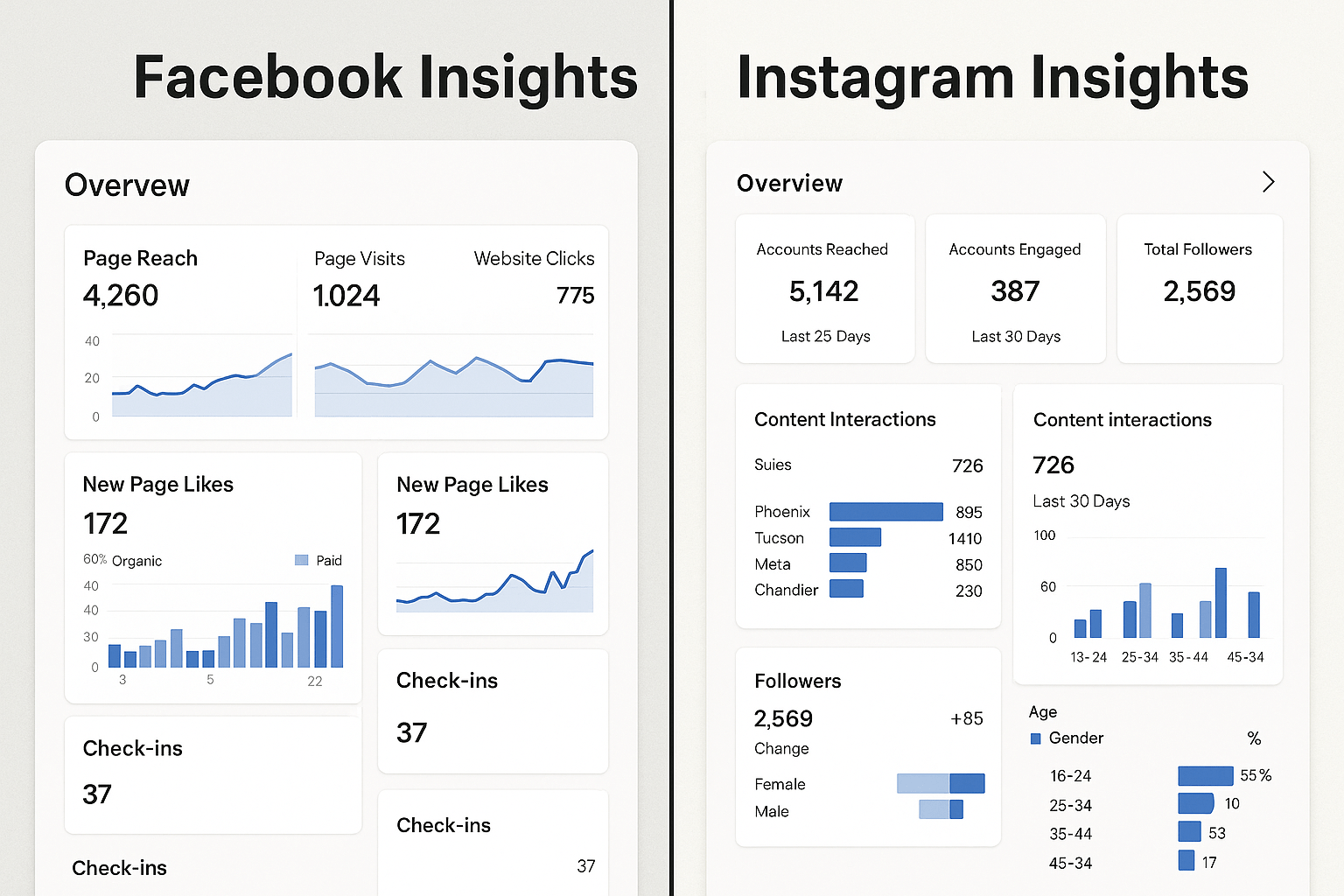 Social media analytics dashboards showing local business customer insights and engagement patterns for effective deal targeting