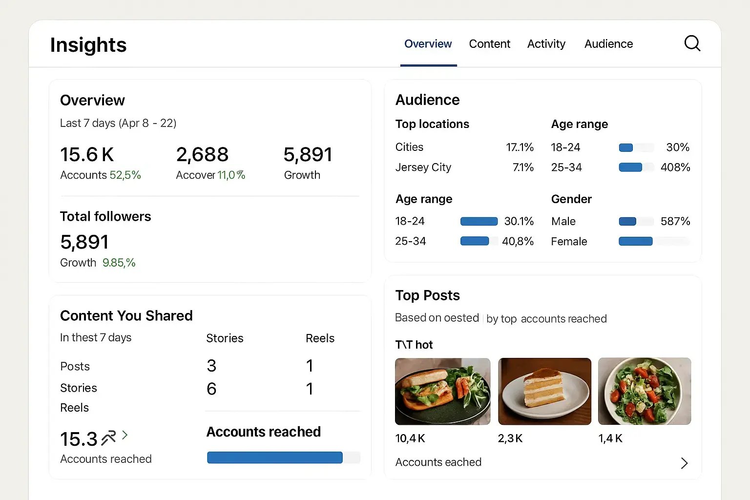 Instagram Insights analytics dashboard displaying business performance metrics and engagement data